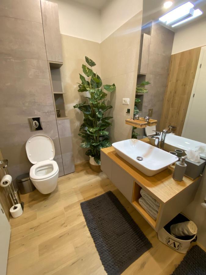 Aparthotel Art'Penthouse à Braşov Extérieur photo